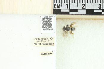 Media type: image;   Entomology 769499 Aspect: Labels